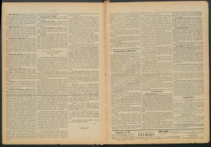 gazeta radomska-1884-25-00002